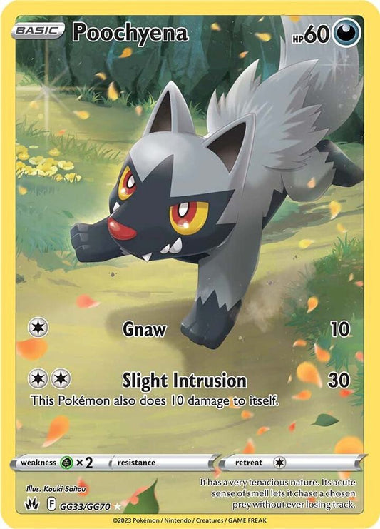 Poochyena - Crown Zenith: Galarian Gallery